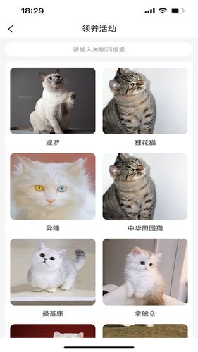 宠哩吖商城软件封面