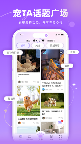 宠TA一生软件封面