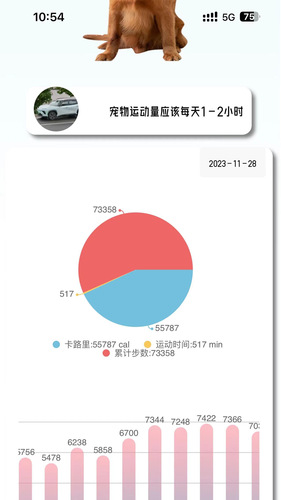宠悦悦软件封面