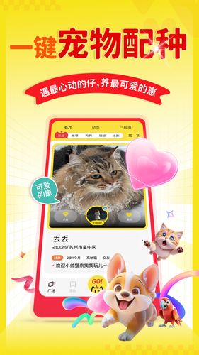宠源源软件封面