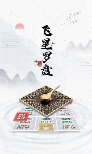飞星罗盘软件封面