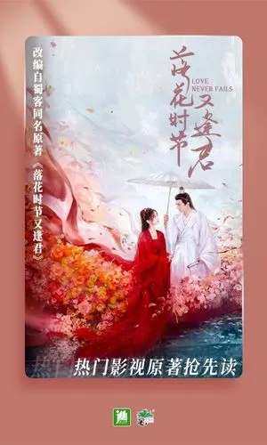 晋江小说阅读软件封面