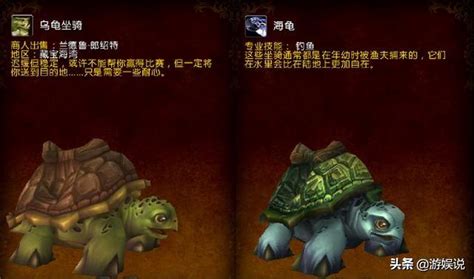 魔兽世界熔岩龟捕捉地点详解与攻略指南