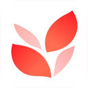 小满壁纸