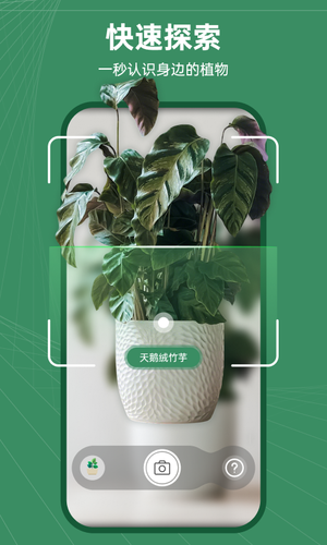 花草志软件封面
