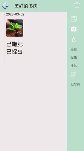 多肉花草日记软件封面