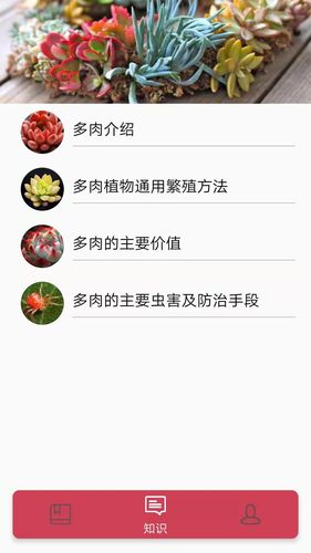 多肉花草日记软件封面