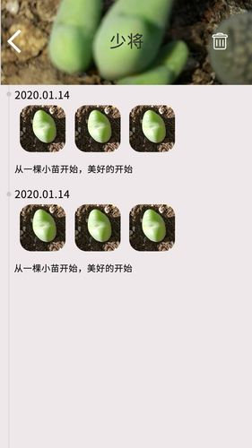 多肉花草日记软件封面