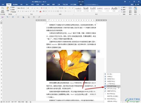word文档转pdf图片_word文档转PDF图片丢失