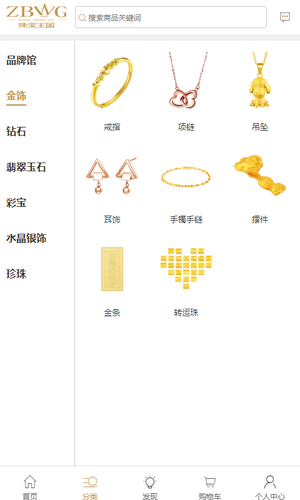 珠宝王国软件封面
