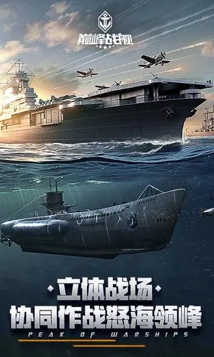 巅峰战舰软件封面