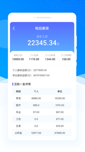 个税清缴详查软件封面