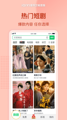 爱奇艺极速版软件封面
