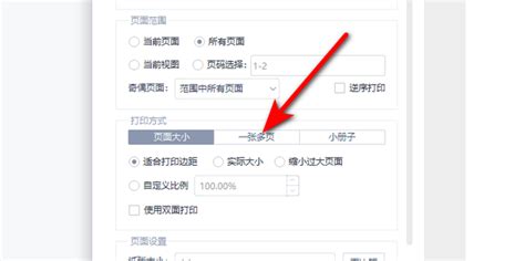 2份PDF合并打印技巧：如何将2张PDF文档打印到同一页