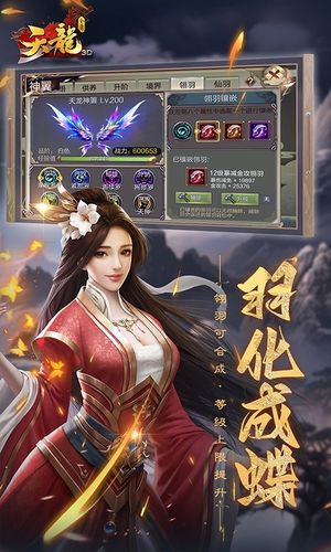 天龙3D软件封面