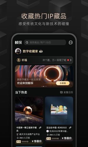鲸探软件封面