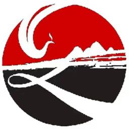 传文达艺