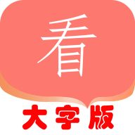 大字版
