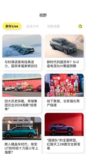 Report软件封面