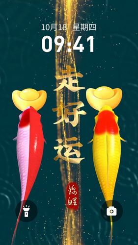 快闪壁纸软件封面
