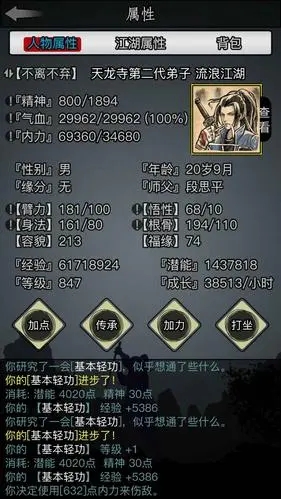 放置江湖岁数怎么算