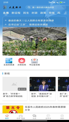 大美新平软件封面