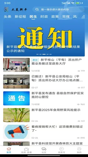 大美新平软件封面