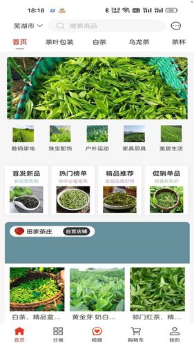一灯茶网软件封面