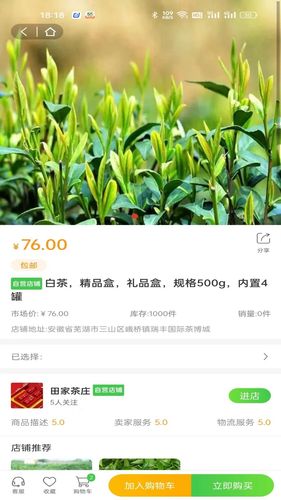 一灯茶网软件封面