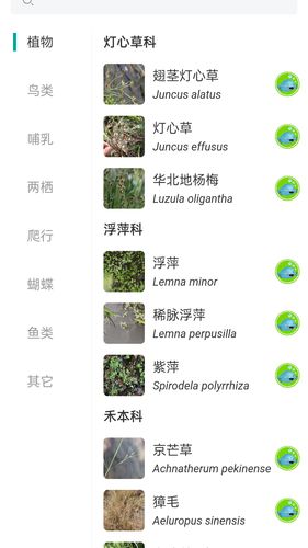 南通生物脸谱软件封面