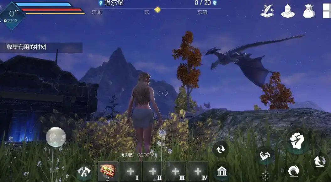 黑暗与光明飞龙在哪