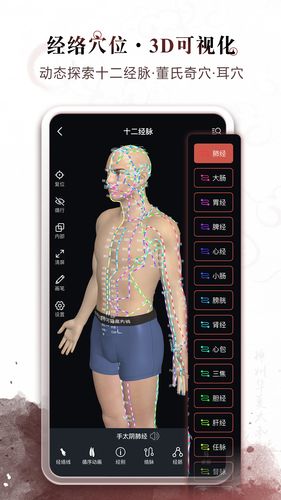中医经络穴位第1张手机截图