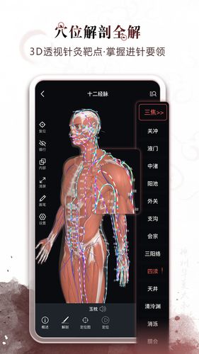 中医经络穴位第4张手机截图