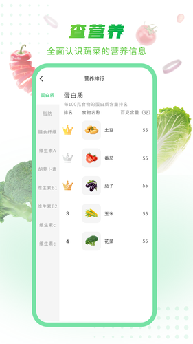 有机蔬菜第2张手机截图