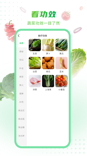 有机蔬菜第3张手机截图