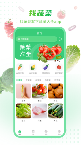 有机蔬菜第4张手机截图