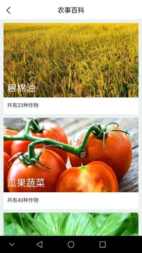 寿光蔬菜第1张手机截图