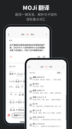 MOJi辞書软件封面