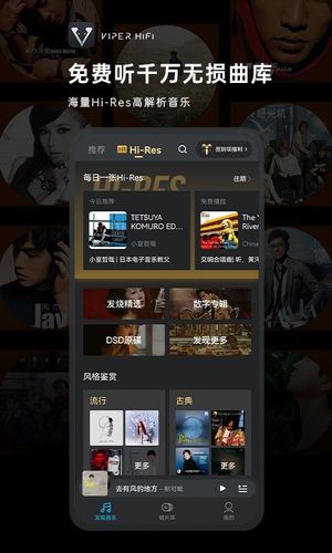 VIPER HiFi软件封面