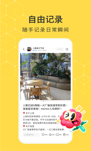 网易小蜜蜂软件封面
