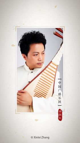 琵琶调音器软件封面