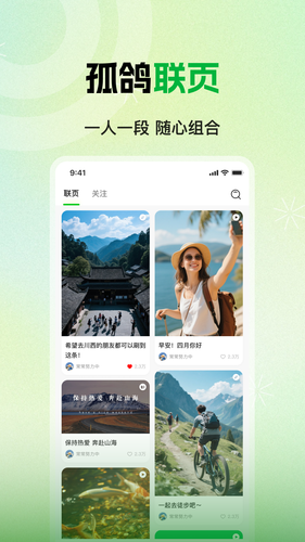 孤鸽软件封面