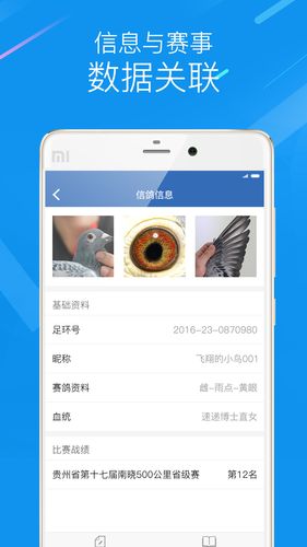 中国信鸽协会软件封面