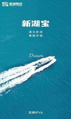 新湖宝软件封面
