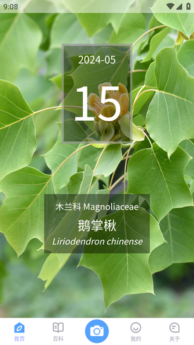 花伴侣专业版软件封面