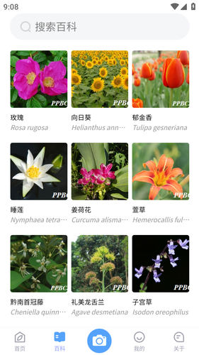 花伴侣专业版软件封面