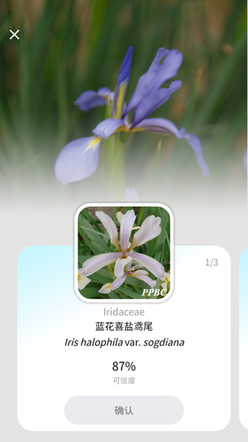 花伴侣专业版软件封面