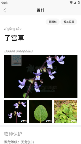花伴侣专业版软件封面