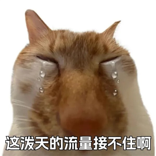 68496fdae0fc8.jpg
