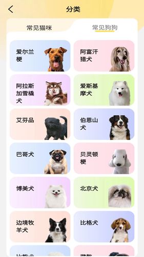 布偶萌宠软件封面